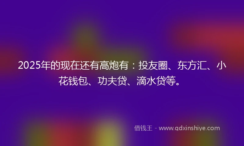 2025年的现在还有高炮有：投友圈、东方汇、小花钱包、功夫贷、滴水贷等。