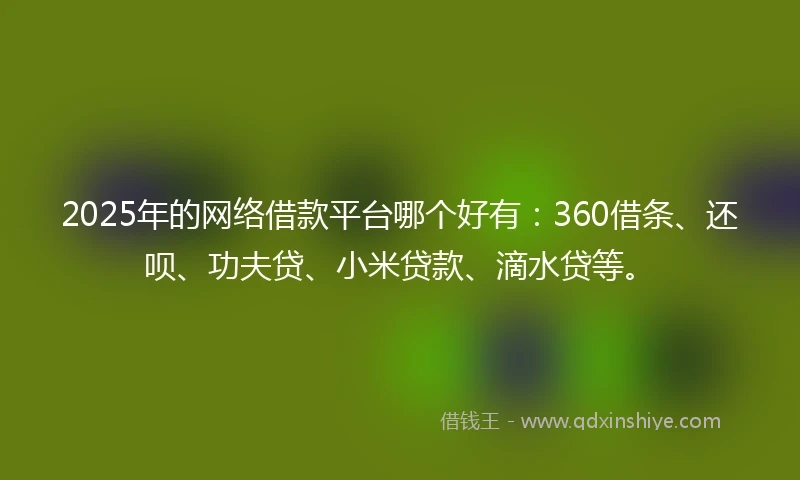 2025年的网络借款平台哪个好有：360借条、还呗、功夫贷、小米贷款、滴水贷等。