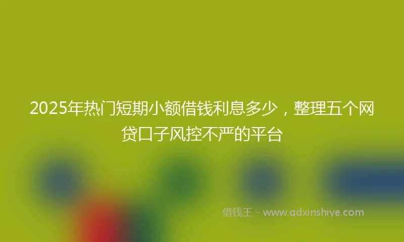 2025年热门短期小额借钱利息多少，整理五个网贷口子风控不严的平台