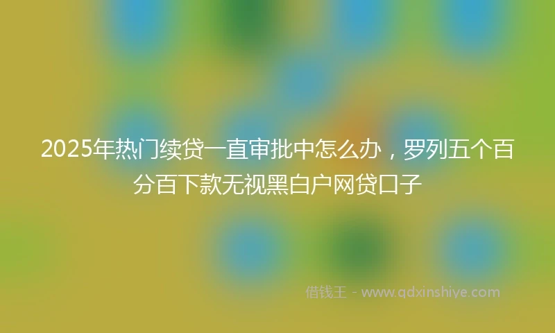 2025年热门续贷一直审批中怎么办，罗列五个百分百下款无视黑白户网贷口子
