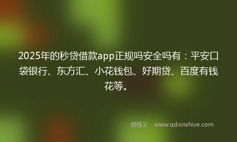 2025年的秒贷借款app正规吗安全吗有：平安口袋银行、东方汇、小花钱包、好期贷、百度有钱花等。
