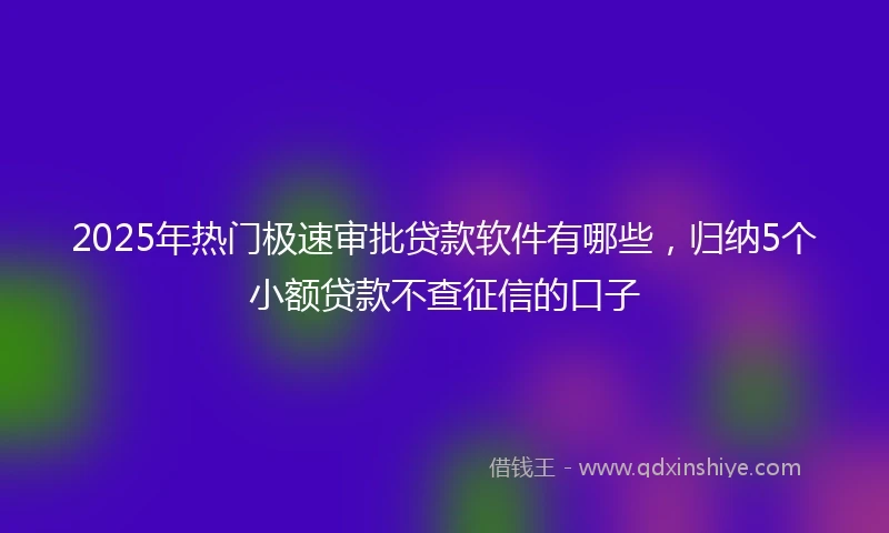 2025年热门极速审批贷款软件有哪些，归纳5个小额贷款不查征信的口子