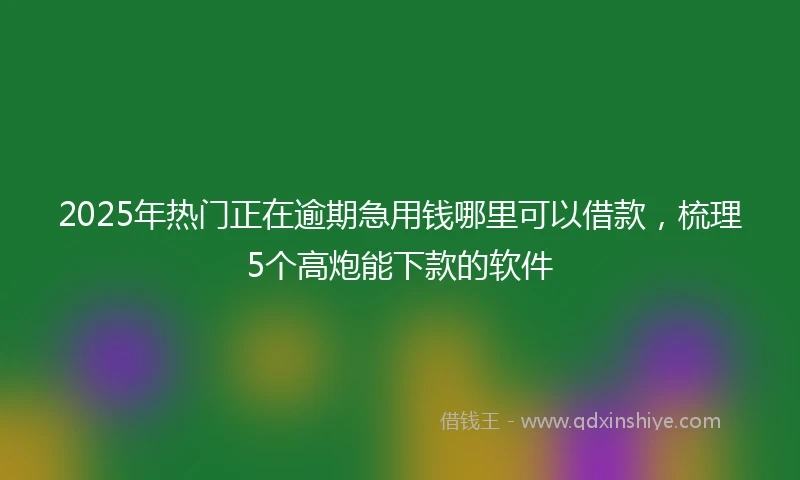 2025年热门正在逾期急用钱哪里可以借款，梳理5个高炮能下款的软件
