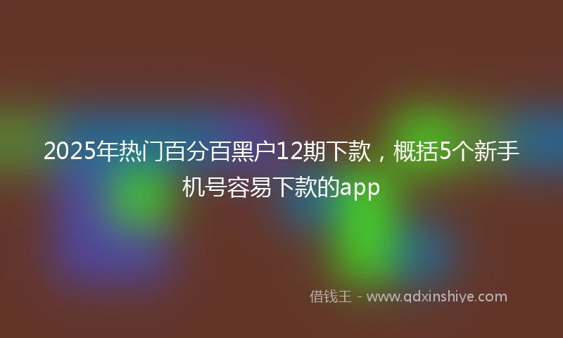 2025年热门百分百黑户12期下款，概括5个新手机号容易下款的app