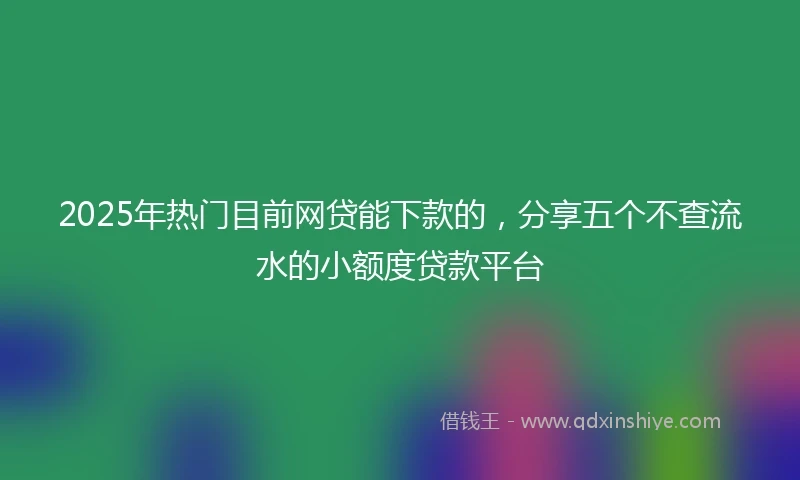 2025年热门目前网贷能下款的，分享五个不查流水的小额度贷款平台