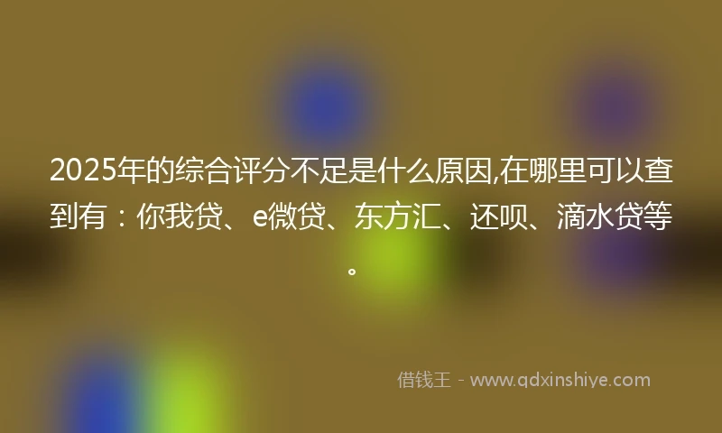 2025年的综合评分不足是什么原因,在哪里可以查到有：你我贷、e微贷、东方汇、还呗、滴水贷等。