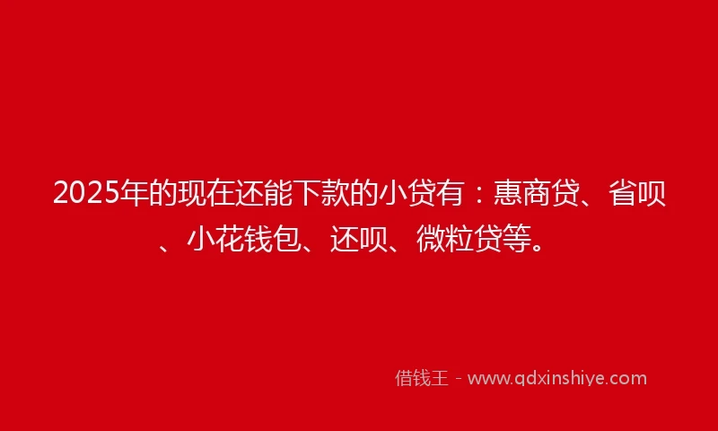 2025年的现在还能下款的小贷有：惠商贷、省呗、小花钱包、还呗、微粒贷等。