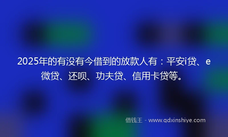 2025年的有没有今借到的放款人有：平安i贷、e微贷、还呗、功夫贷、信用卡贷等。