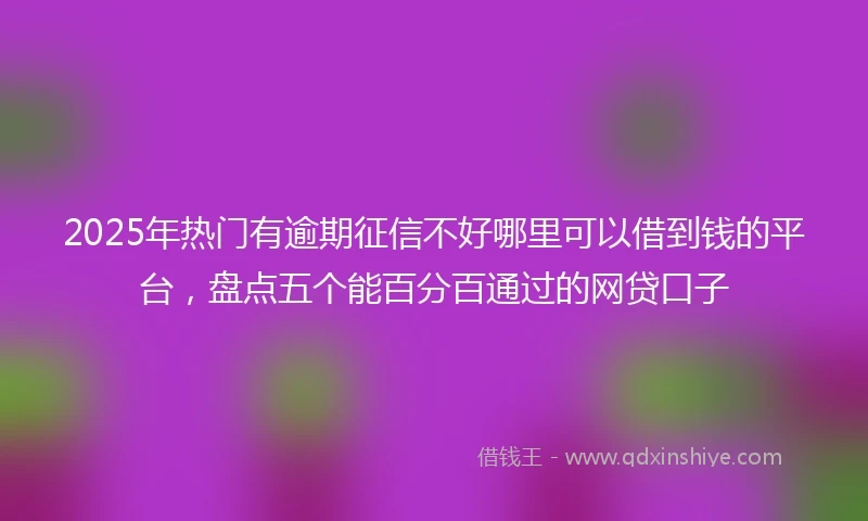 2025年热门有逾期征信不好哪里可以借到钱的平台，盘点五个能百分百通过的网贷口子