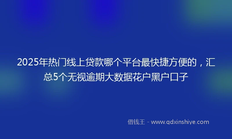 2025年热门线上贷款哪个平台最快捷方便的，汇总5个无视逾期大数据花户黑户口子