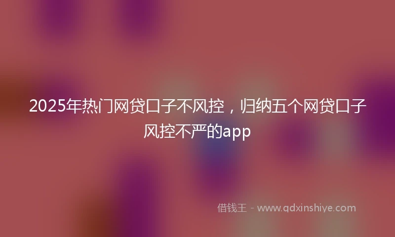 2025年热门网贷口子不风控，归纳五个网贷口子风控不严的app