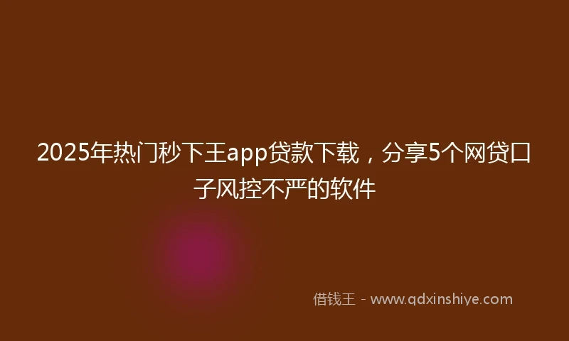 2025年热门秒下王app贷款下载，分享5个网贷口子风控不严的软件