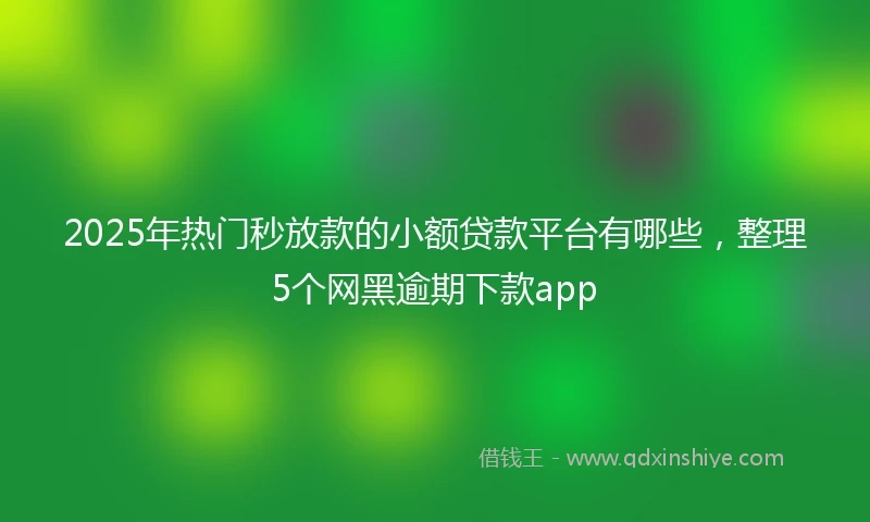 2025年热门秒放款的小额贷款平台有哪些，整理5个网黑逾期下款app