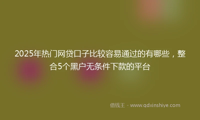 2025年热门网贷口子比较容易通过的有哪些，整合5个黑户无条件下款的平台