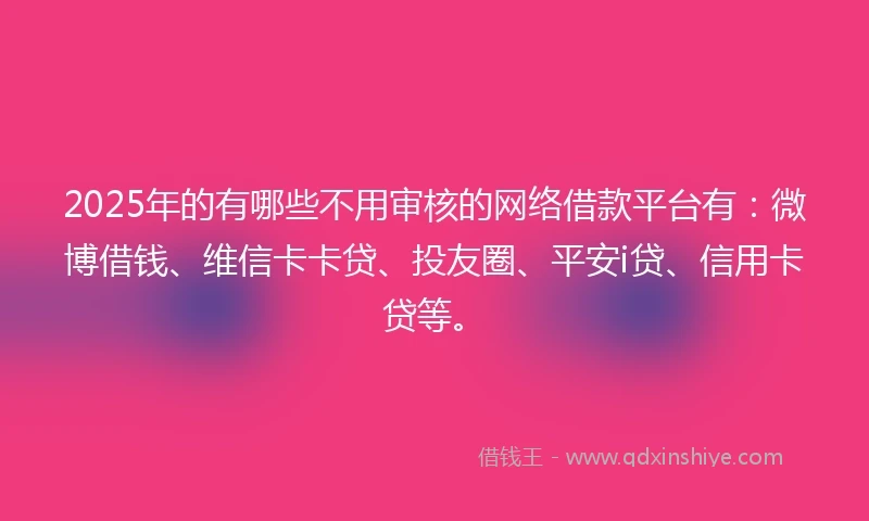 2025年的有哪些不用审核的网络借款平台有：微博借钱、维信卡卡贷、投友圈、平安i贷、信用卡贷等。