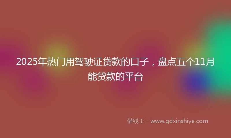 2025年热门用驾驶证贷款的口子，盘点五个11月能贷款的平台