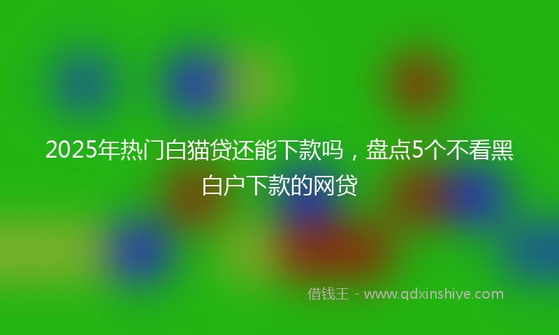2025年热门白猫贷还能下款吗，盘点5个不看黑白户下款的网贷
