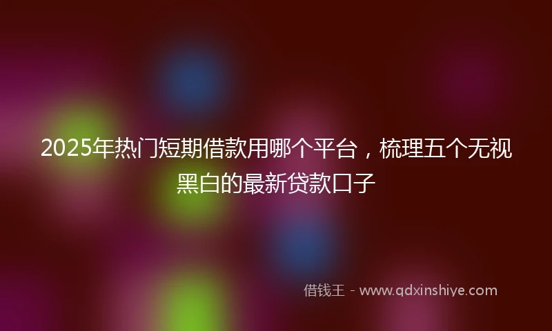 2025年热门短期借款用哪个平台，梳理五个无视黑白的最新贷款口子