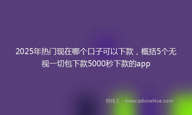 2025年热门现在哪个口子可以下款，概括5个无视一切包下款5000秒下款的app