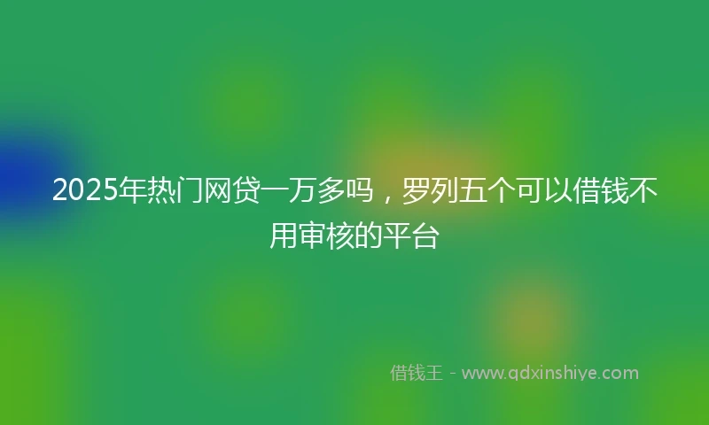 2025年热门网贷一万多吗，罗列五个可以借钱不用审核的平台