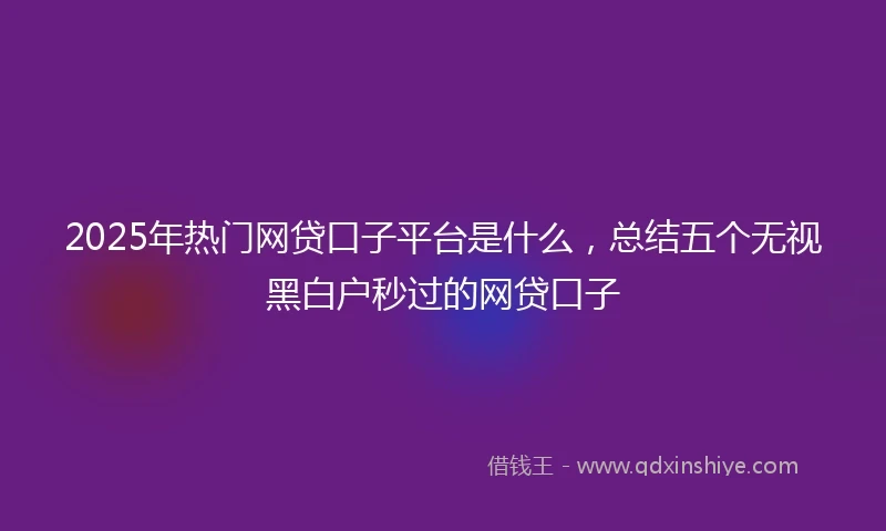 2025年热门网贷口子平台是什么，总结五个无视黑白户秒过的网贷口子