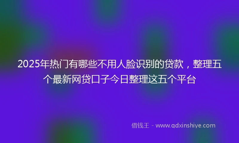 2025年热门有哪些不用人脸识别的贷款，整理五个最新网贷口子今日整理这五个平台