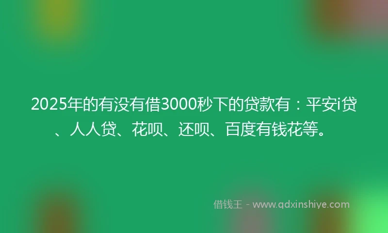 2025年的有没有借3000秒下的贷款有：平安i贷、人人贷、花呗、还呗、百度有钱花等。