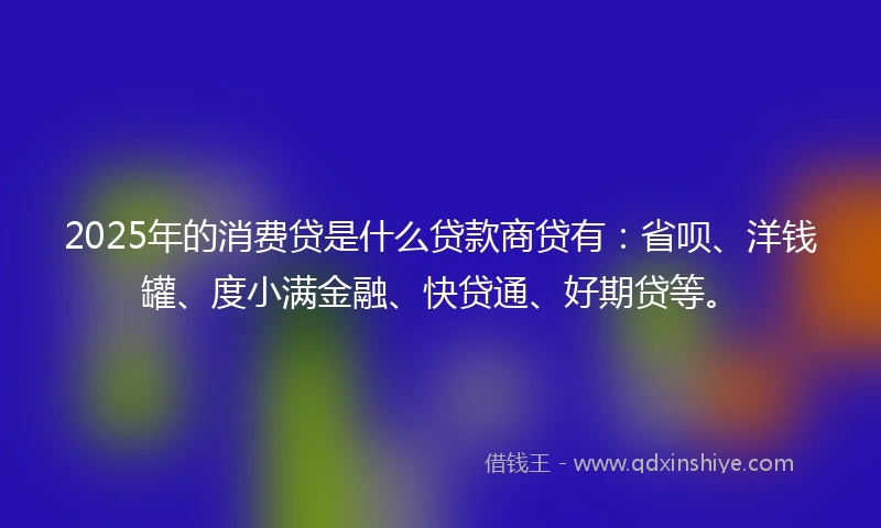 2025年的消费贷是什么贷款商贷有：省呗、洋钱罐、度小满金融、快贷通、好期贷等。
