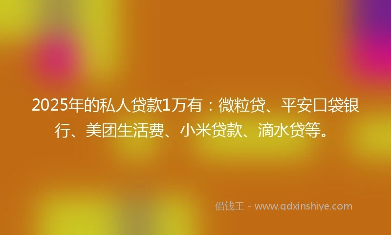2025年的私人贷款1万有：微粒贷、平安口袋银行、美团生活费、小米贷款、滴水贷等。