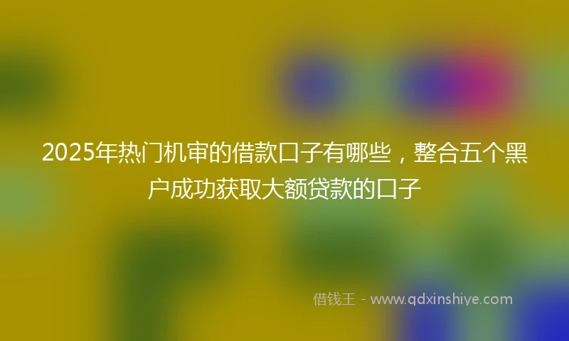 2025年热门机审的借款口子有哪些，整合五个黑户成功获取大额贷款的口子