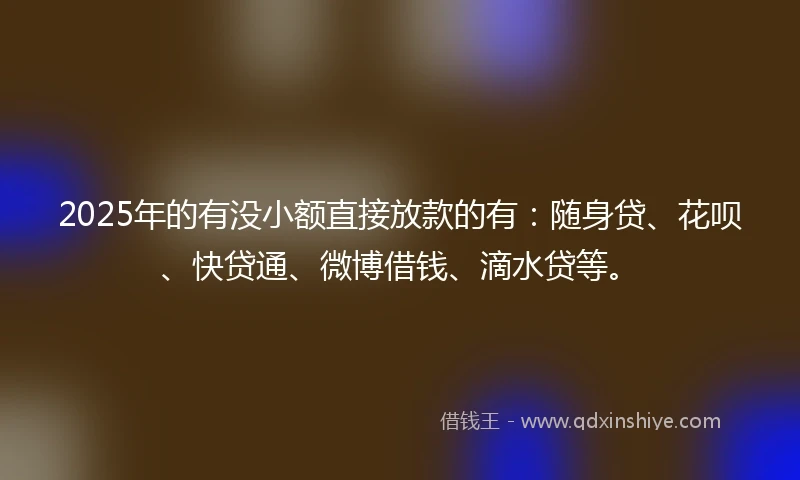 2025年的有没小额直接放款的有：随身贷、花呗、快贷通、微博借钱、滴水贷等。
