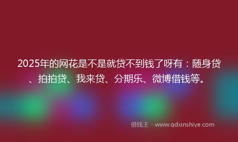 2025年的网花是不是就贷不到钱了呀有：随身贷、拍拍贷、我来贷、分期乐、微博借钱等。