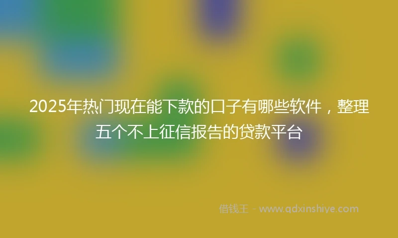 2025年热门现在能下款的口子有哪些软件，整理五个不上征信报告的贷款平台