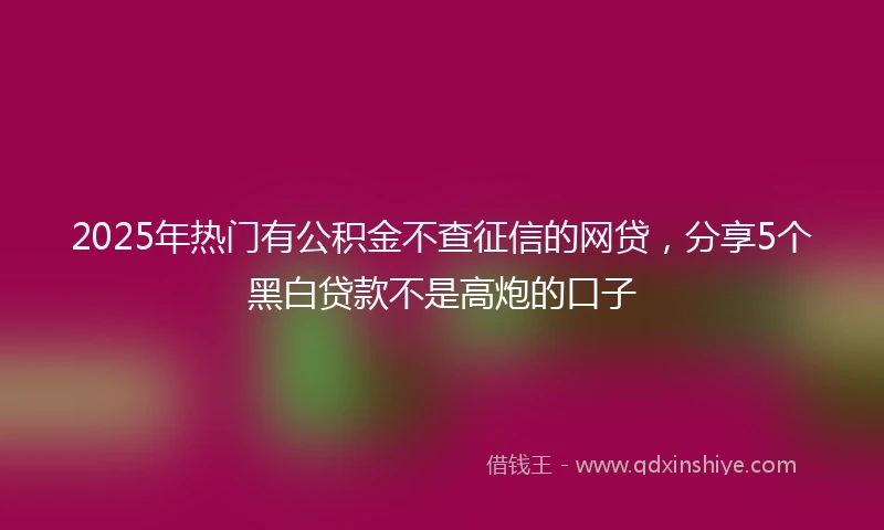 2025年热门有公积金不查征信的网贷，分享5个黑白贷款不是高炮的口子
