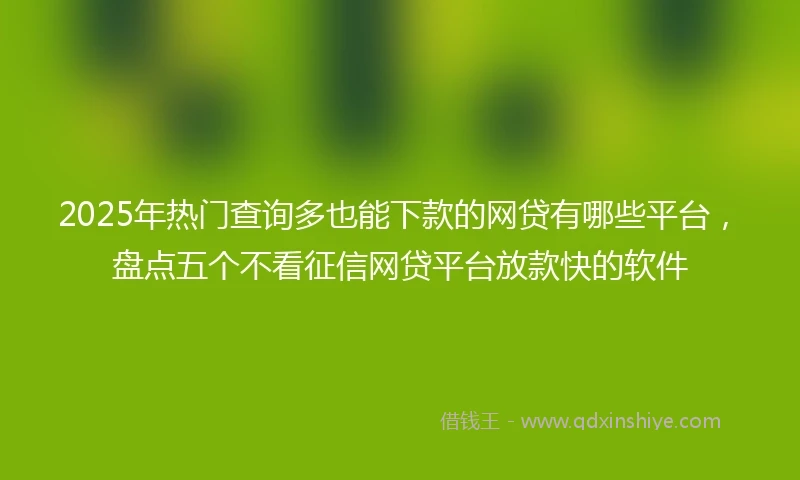 2025年热门查询多也能下款的网贷有哪些平台，盘点五个不看征信网贷平台放款快的软件