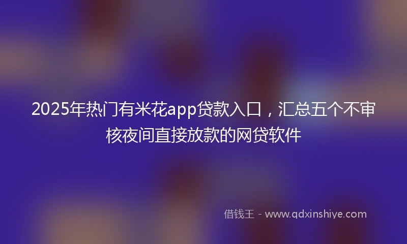 2025年热门有米花app贷款入口，汇总五个不审核夜间直接放款的网贷软件