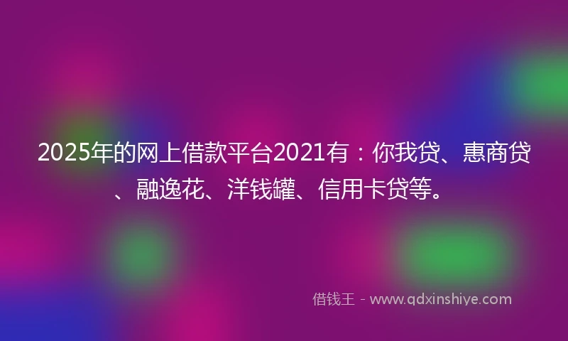 2025年的网上借款平台2021有：你我贷、惠商贷、融逸花、洋钱罐、信用卡贷等。