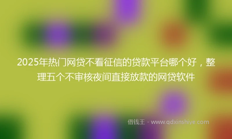 2025年热门网贷不看征信的贷款平台哪个好，整理五个不审核夜间直接放款的网贷软件