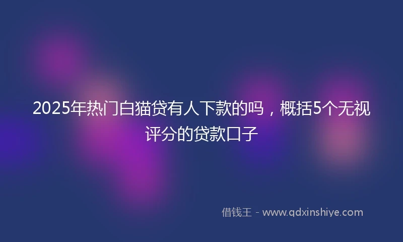 2025年热门白猫贷有人下款的吗，概括5个无视评分的贷款口子