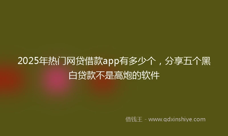 2025年热门网贷借款app有多少个，分享五个黑白贷款不是高炮的软件