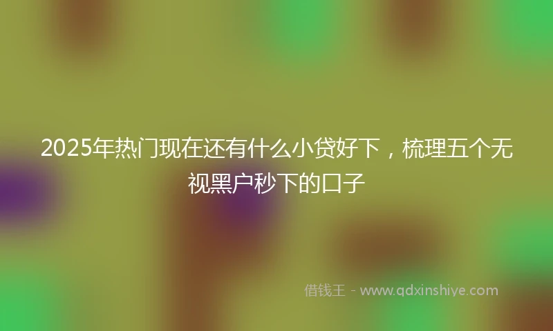 2025年热门现在还有什么小贷好下，梳理五个无视黑户秒下的口子
