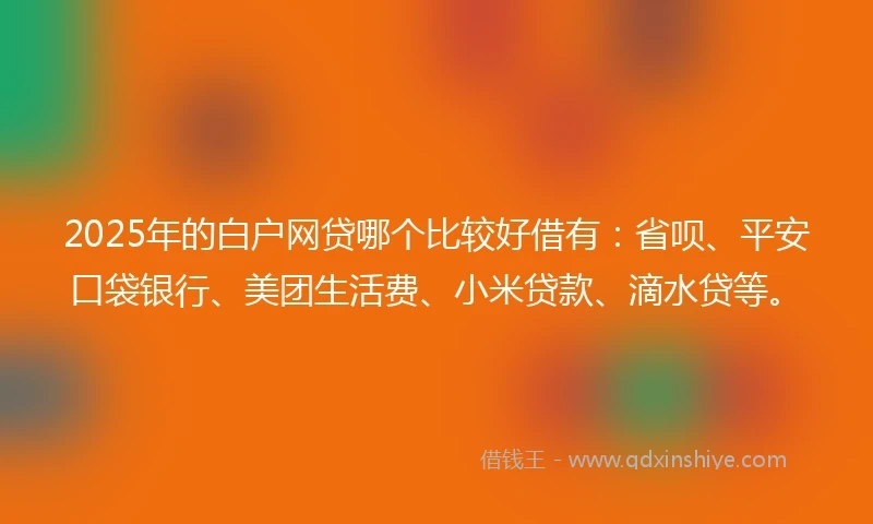 2025年的白户网贷哪个比较好借有：省呗、平安口袋银行、美团生活费、小米贷款、滴水贷等。