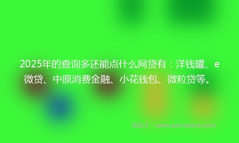 2025年的查询多还能点什么网贷有：洋钱罐、e微贷、中原消费金融、小花钱包、微粒贷等。