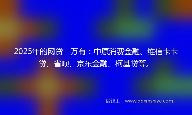 2025年的网贷一万有：中原消费金融、维信卡卡贷、省呗、京东金融、柯基贷等。
