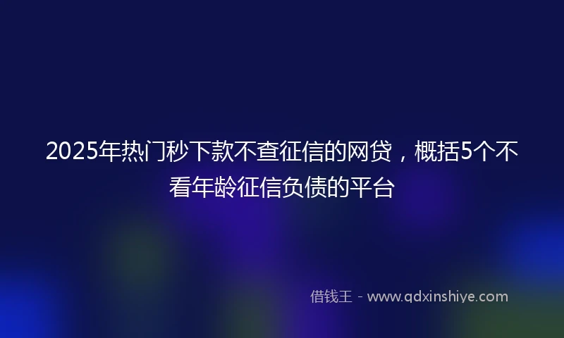 2025年热门秒下款不查征信的网贷，概括5个不看年龄征信负债的平台
