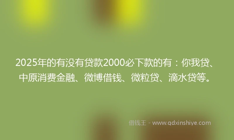 2025年的有没有贷款2000必下款的有：你我贷、中原消费金融、微博借钱、微粒贷、滴水贷等。