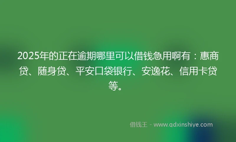 2025年的正在逾期哪里可以借钱急用啊有：惠商贷、随身贷、平安口袋银行、安逸花、信用卡贷等。