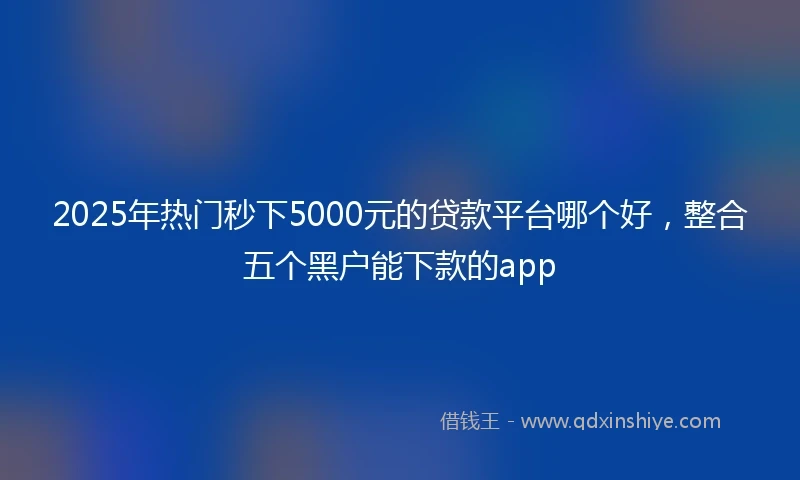 2025年热门秒下5000元的贷款平台哪个好，整合五个黑户能下款的app