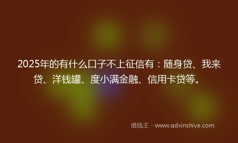 2025年的有什么口子不上征信有：随身贷、我来贷、洋钱罐、度小满金融、信用卡贷等。