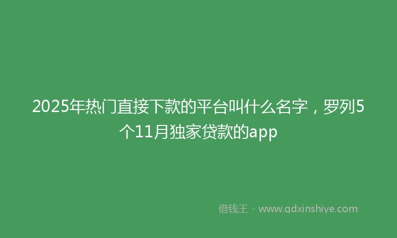 2025年热门直接下款的平台叫什么名字，罗列5个11月独家贷款的app